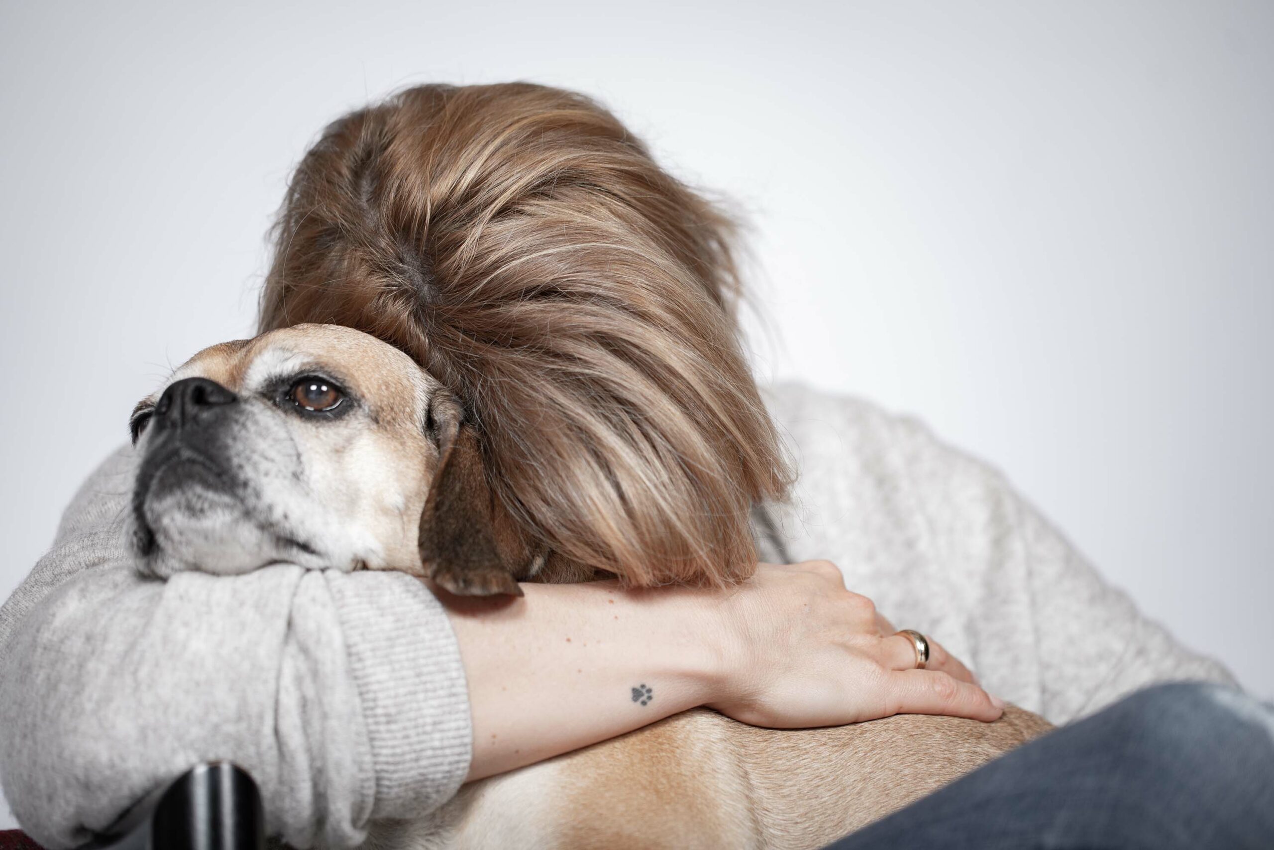 Ergo Dog Fotoshooting