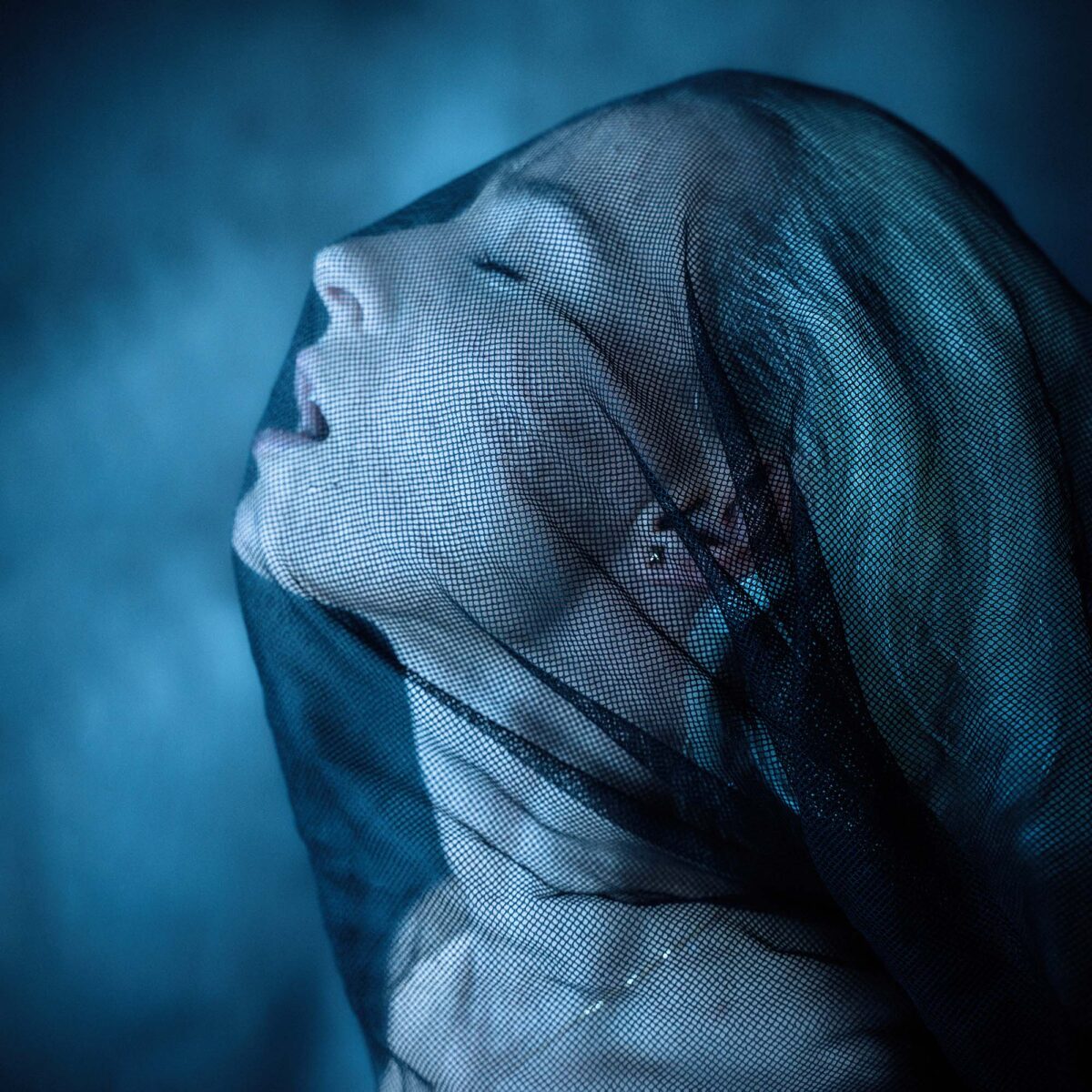 © Michael Stange , https://www.michaelstange.de